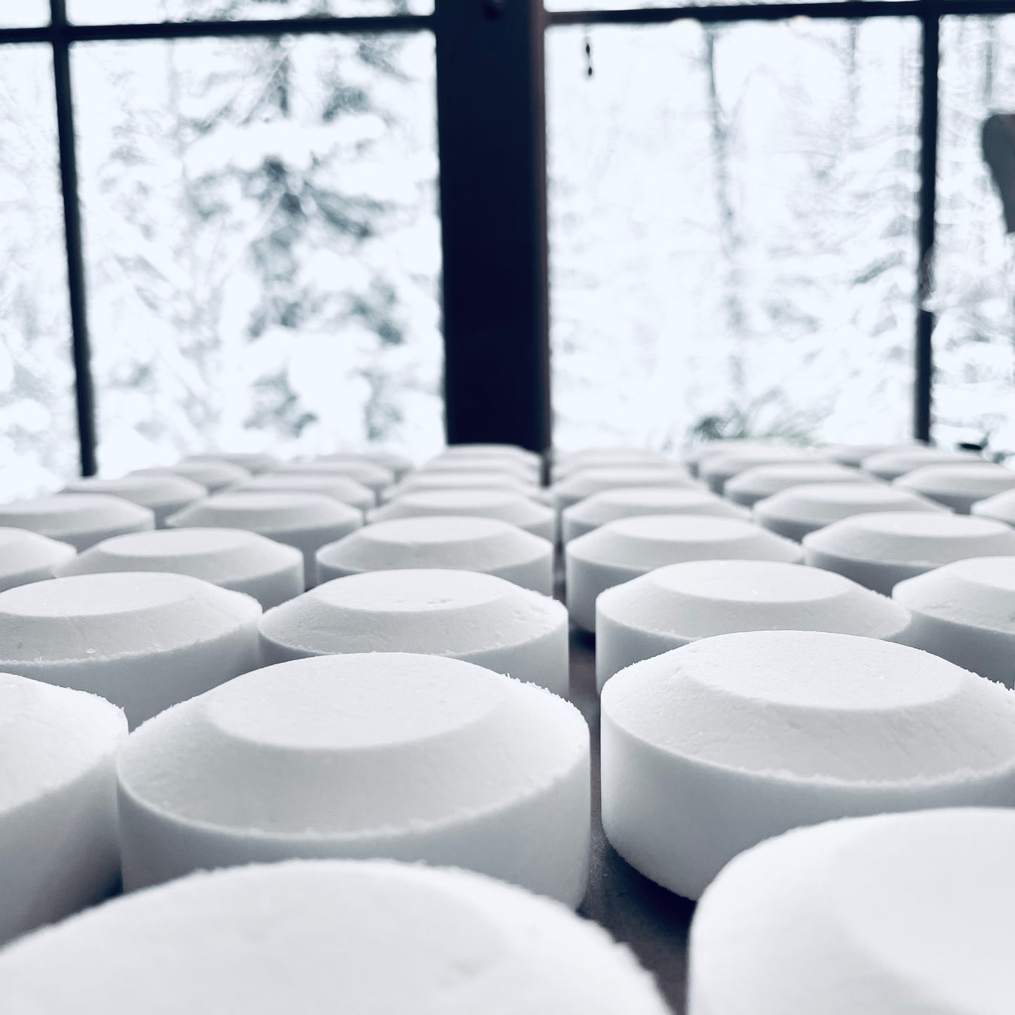 Shower Steamer Simply Wild Co Naturals