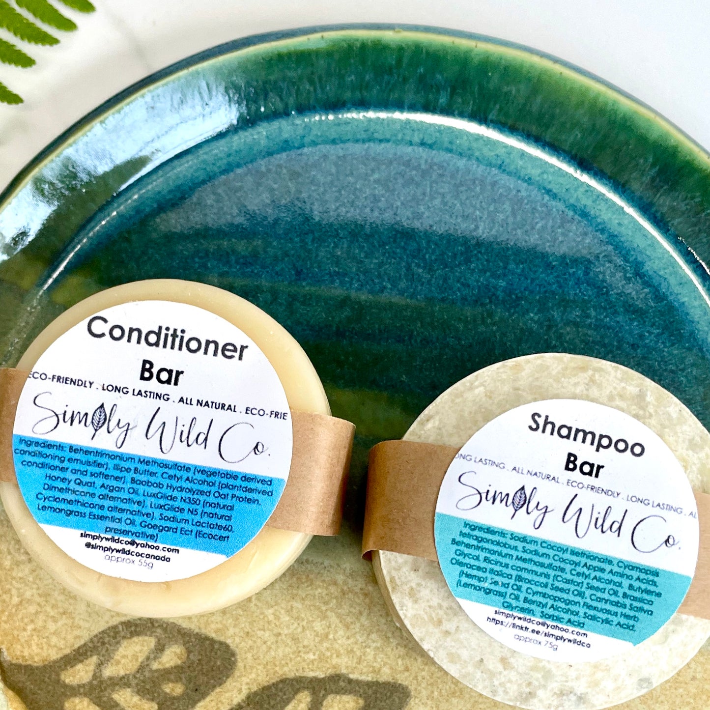 conditioner and shampoo bar on a plate